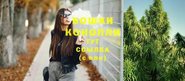бошки Бронницы