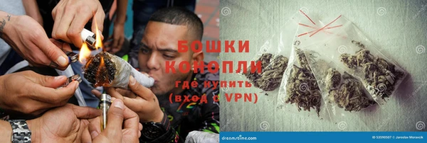бошки Бронницы